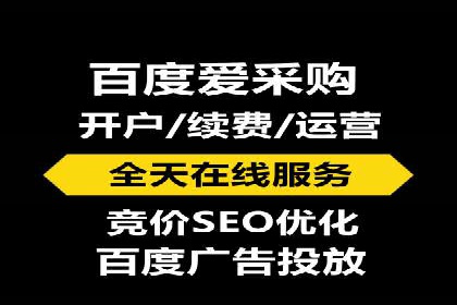 百度SEO推广公司案例分享：行业佼佼者经验